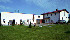 sianozety